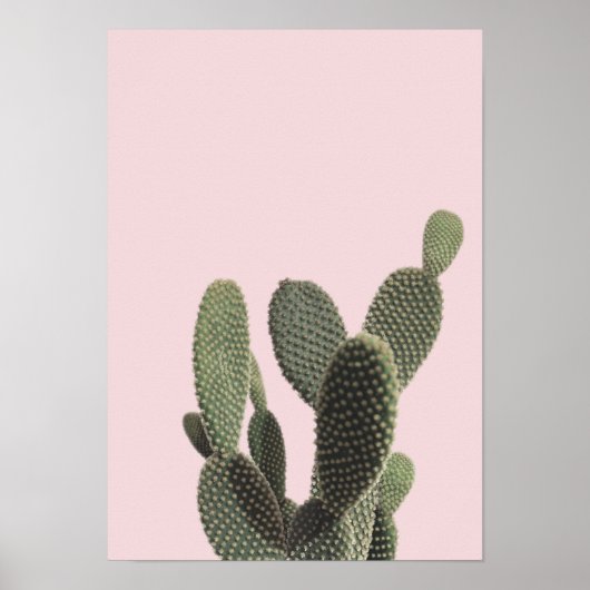 Prickly Pear Cactus and Pink Poster (Voorkant)