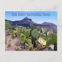 Prickly Pear Cactus Big Bend Briefkaart