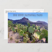 Prickly Pear Cactus Big Bend Briefkaart (Voorkant / Achterkant)