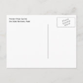 Prickly Pear Cactus Big Bend Briefkaart (Achterkant)