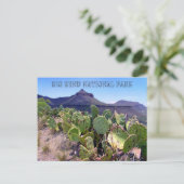 Prickly Pear Cactus Big Bend Briefkaart (Staand voorkant)