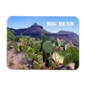 Prickly Pear Cactus Big Bend National Park Magneet (Horizontaal)