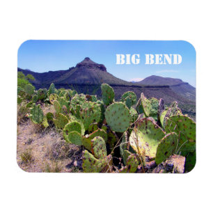 Prickly Pear Cactus Big Bend National Park Magneet