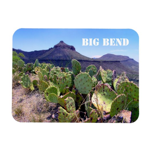 Prickly Pear Cactus Big Bend National Park Magneet (Horizontaal)