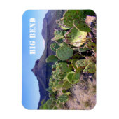 Prickly Pear Cactus Big Bend National Park Magneet (Verticaal)