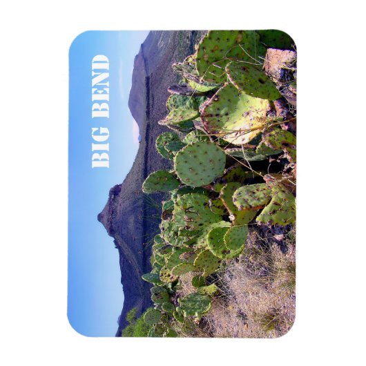 Prickly Pear Cactus Big Bend National Park Magneet (Verticaal)