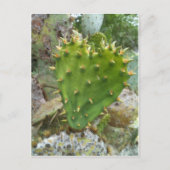 Prickly Pear Cactus Briefkaart (Voorkant)