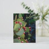 Prickly Pear Cactus Briefkaart (Staand voorkant)