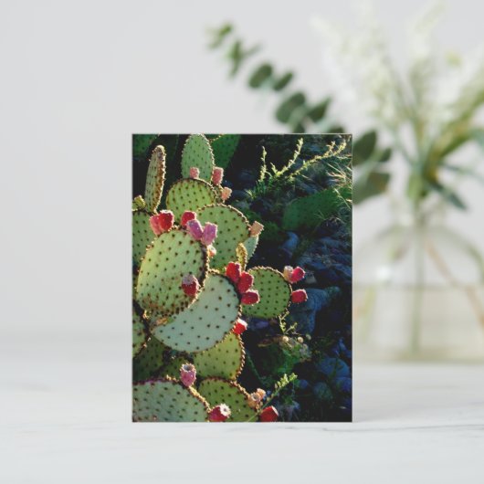 Prickly Pear Cactus Briefkaart (Staand voorkant)