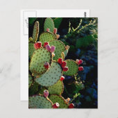 Prickly Pear Cactus Briefkaart (Voorkant / Achterkant)