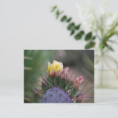 Prickly Pear Cactus Briefkaart (Staand voorkant)