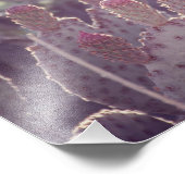 Prickly Pear Cactus Flower | Fotoafdrukken Foto Afdruk (Hoek)