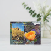 Prickly Pear Cactus Flower / Oranje / Arizona USA Briefkaart (Staand voorkant)