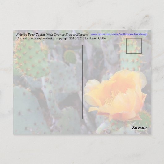 Prickly Pear Cactus Flower / Oranje / Arizona USA Briefkaart (Achterkant)