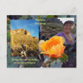 Prickly Pear Cactus Flower / Oranje / Arizona USA Briefkaart (Voorkant)