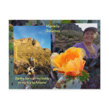 Prickly Pear Cactus Flower / Oranje / Arizona USA