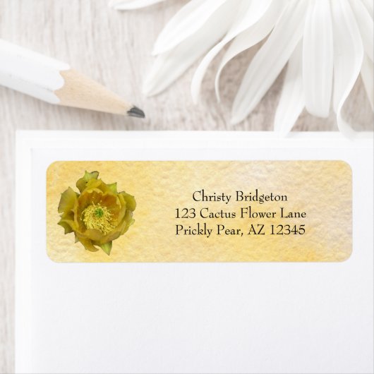 Prickly Pear Cactus Flower / Yellow / Etiket (Insitu)