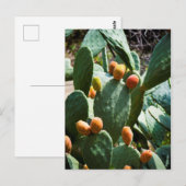 Prickly Pear Cactus Fruit Briefkaart (Voorkant / Achterkant)