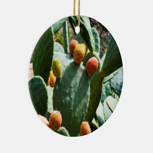 Prickly Pear Cactus Fruit Keramisch Ornament (Rechts)