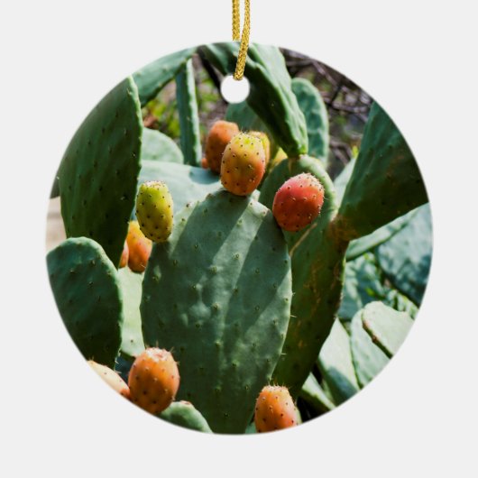 Prickly Pear Cactus Fruit Keramisch Ornament (Voorkant)