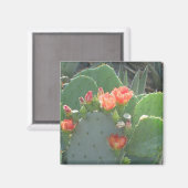 Prickly Pear Cactus Green Red Bloom Magneet (Voorkant / Achterkant)