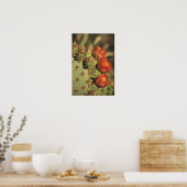 Prickly pear cactus in bloom, Arizona-Sonora 2 Poster (Keuken)