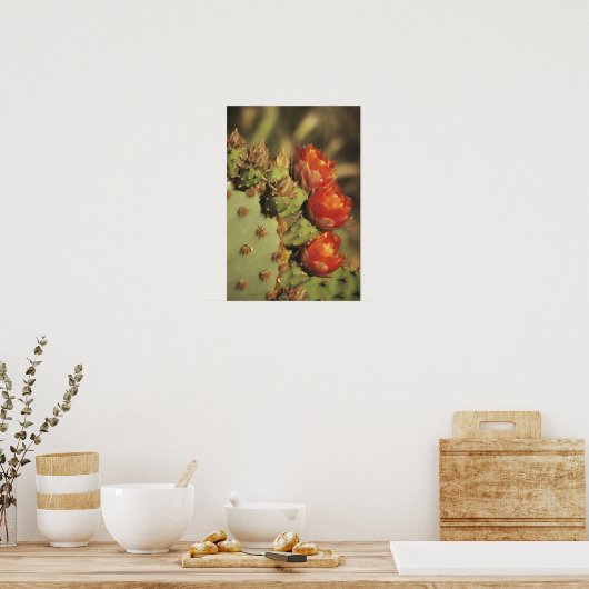 Prickly pear cactus in bloom, Arizona-Sonora 2 Poster (Keuken)