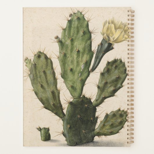 Prickly Pear Cactus in Bloom Planner (Achterkant)