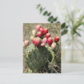 Prickly Pear Cactus in Texas Briefkaart (Staand voorkant)