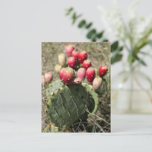 Prickly Pear Cactus in Texas Briefkaart (Staand voorkant)