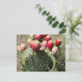 Prickly Pear Cactus in Texas Briefkaart (Staand voorkant)
