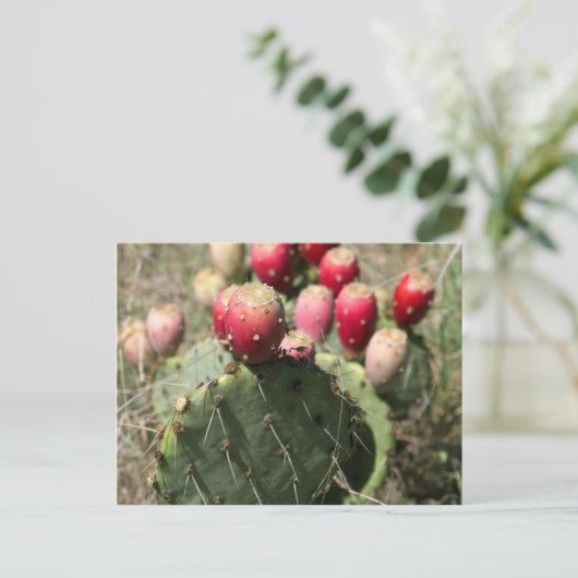 Prickly Pear Cactus in Texas Briefkaart (Staand voorkant)