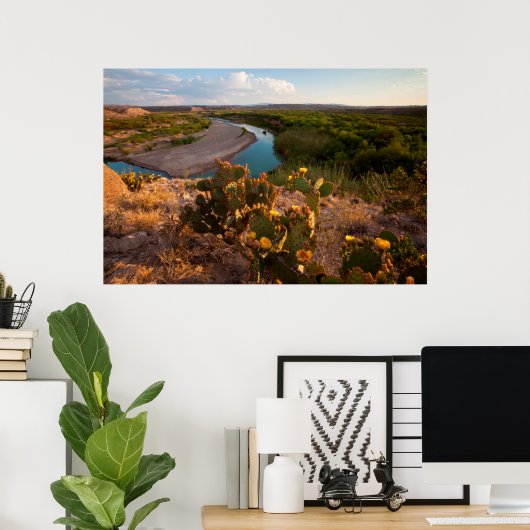 Prickly Pear Cactus (Opuntia Sp.) Poster (Thuiskantoor)