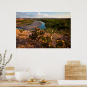 Prickly Pear Cactus (Opuntia Sp.) Poster (Keuken)