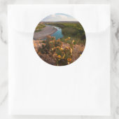 Prickly Pear Cactus (Opuntia Sp.) Ronde Sticker (Tas)