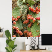 Prickly Pear Cactus Poster (Thuiskantoor)
