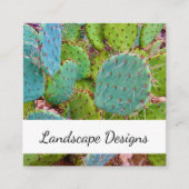 Prickly Pear Cactus Succulent Woestijn Botanisch Vierkante Visitekaartje (Voorkant)