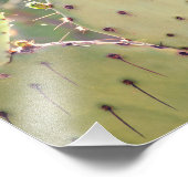 Prickly Pear Closeup | Fotoafdrukken Foto Afdruk (Hoek)