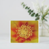 Prickly Pear Flower Briefkaart (Staand voorkant)