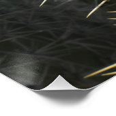 Prickly Pear foto, close-up Perfect Poster (Hoek)