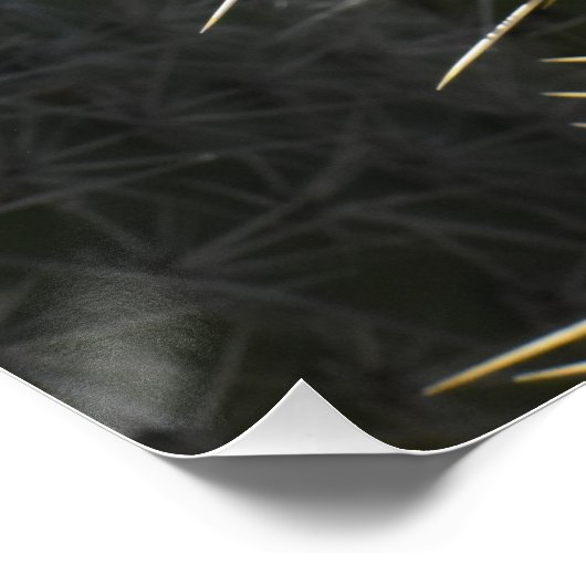 Prickly Pear foto, close-up Perfect Poster (Hoek)