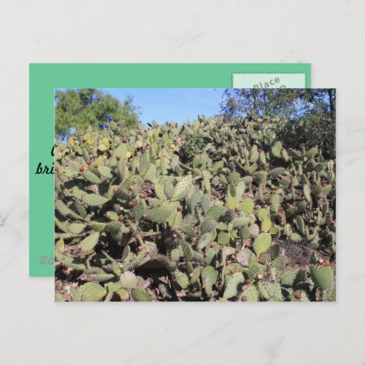 Prickly Pear Gifts Briefkaart (Voorkant / Achterkant)