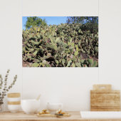 Prickly Pear Gifts Poster (Keuken)