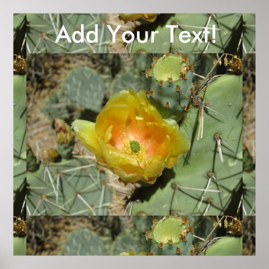Prickly Pear Green Yellow Bloom Poster (Voorkant)