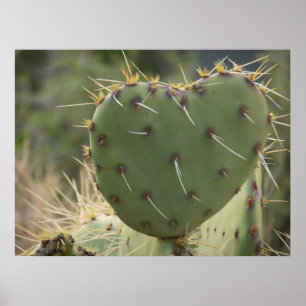 Prickly Pear Hart Poster