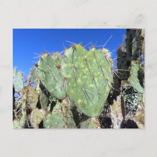 Prickly Pear Harten Briefkaart (Voorkant)