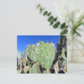 Prickly Pear Harten Briefkaart (Staand voorkant)