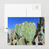 Prickly Pear Harten Briefkaart (Voorkant / Achterkant)