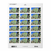 Prickly Pear Harten Etiket (Full Sheet)