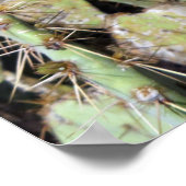 Prickly Pear Harten Poster (Hoek)